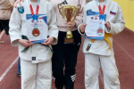 Дзюдо, медали и юные чемпионы